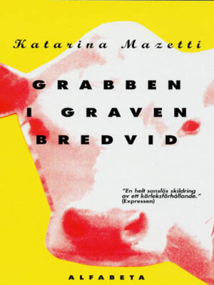 cover image of Grabben i graven bredvid